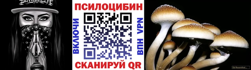 Купить  Ипатово  Псилоцибиновые грибы MAGIC MUSHROOMS 