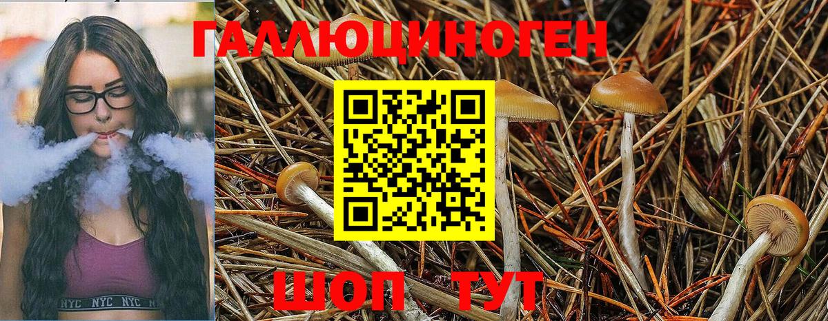 Псилоцибиновые грибы ЛСД  Псилоцибиновые грибы Magic Shrooms  купить наркотик  Ипатово  Вход с VPN 
